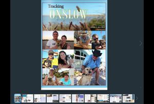 Onslow 3 cover grab